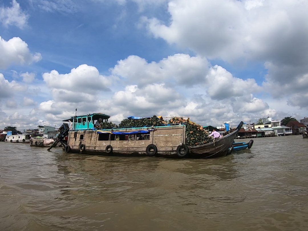 Exploring the Mekong Delta by Boat A Journey Through the Heart of Vietnam