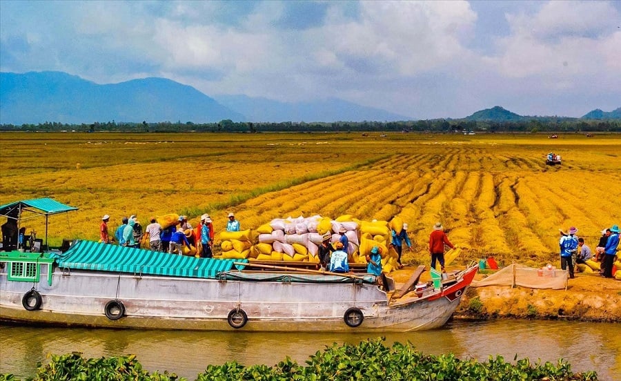 Introduction to the Mekong Delta Region