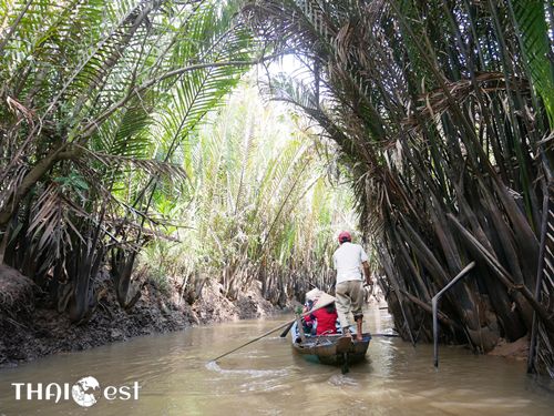 Transportation from Saigon to Mekong Delta An Enticing Journey Immersed in Nature and Culture