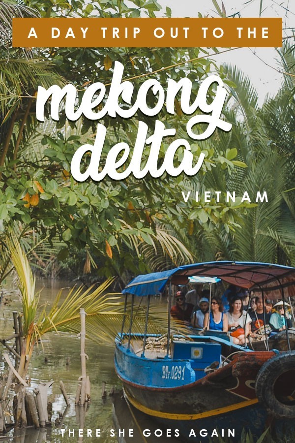Mekong Delta Trip from Ho Chi Minh A Comprehensive Guide