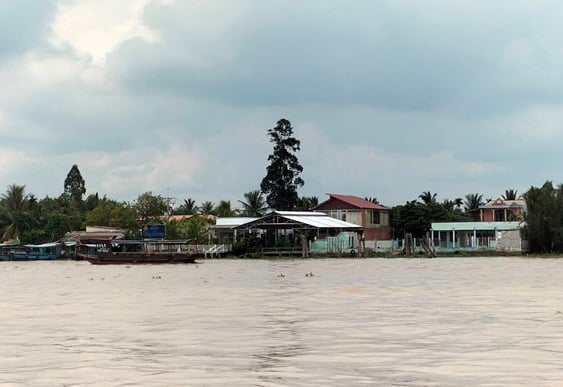 Best Mekong River Day Trip Options
