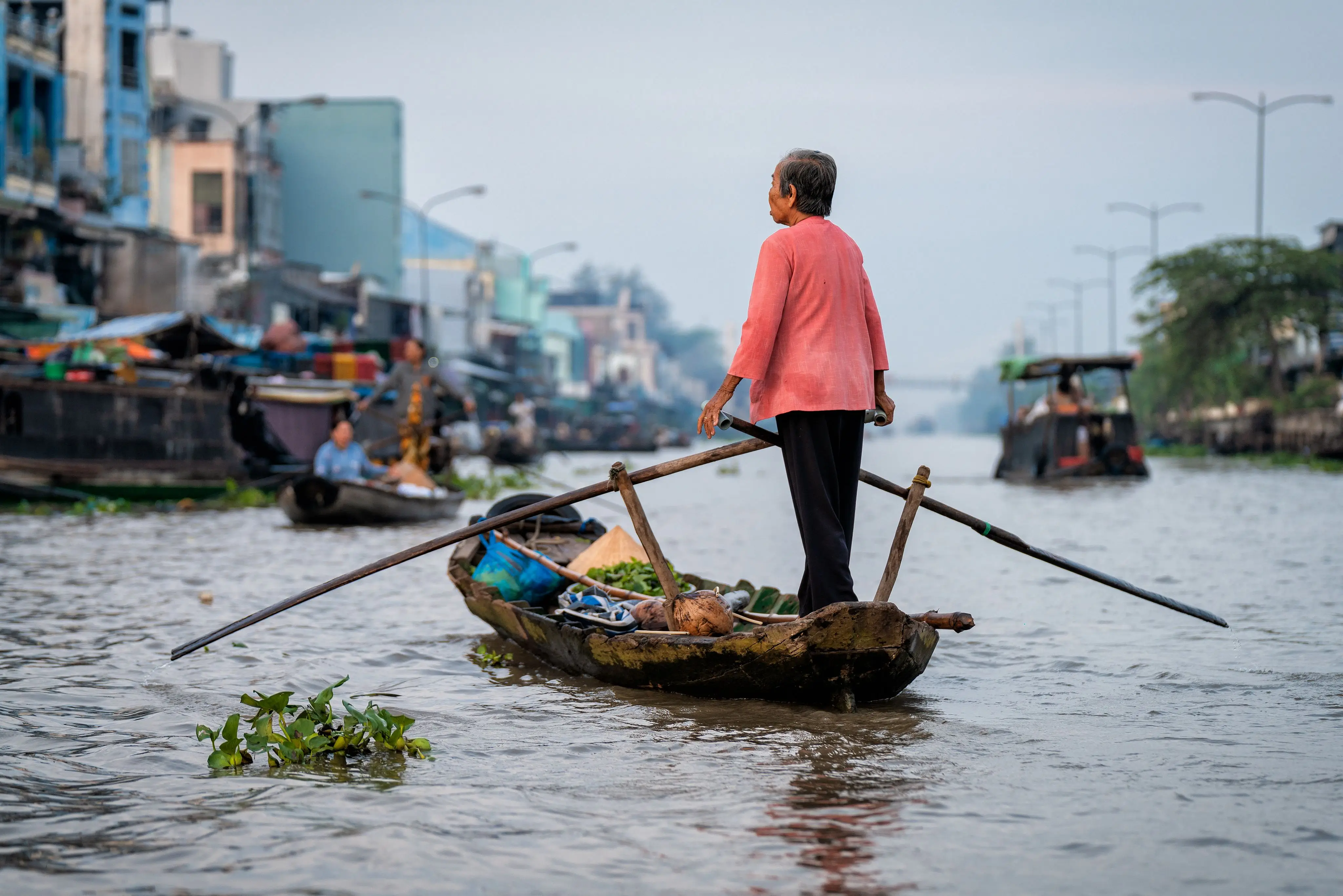 Mekong Delta 1 Day Tour A Journey Through the Heart of Vietnam