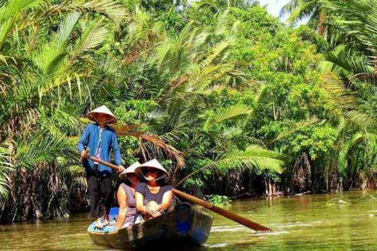 Mekong Delta 1 Day Tour A Journey Through the Heart of Vietnam