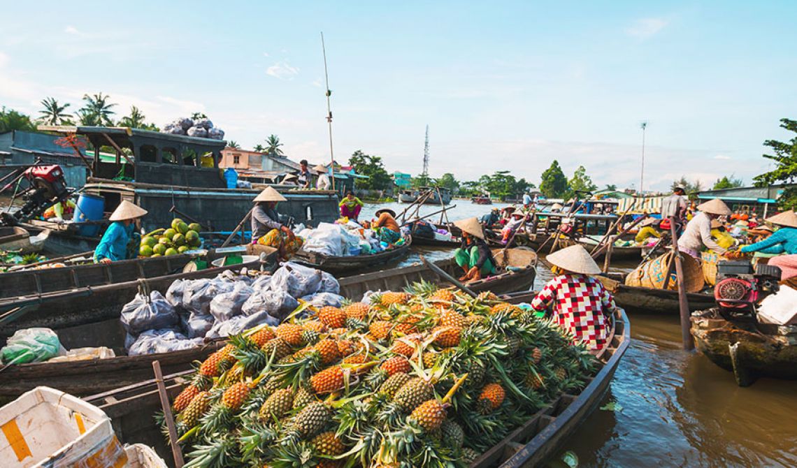 Cai Be Floating Market Tour A Journey into the Heart of the Mekong Delta