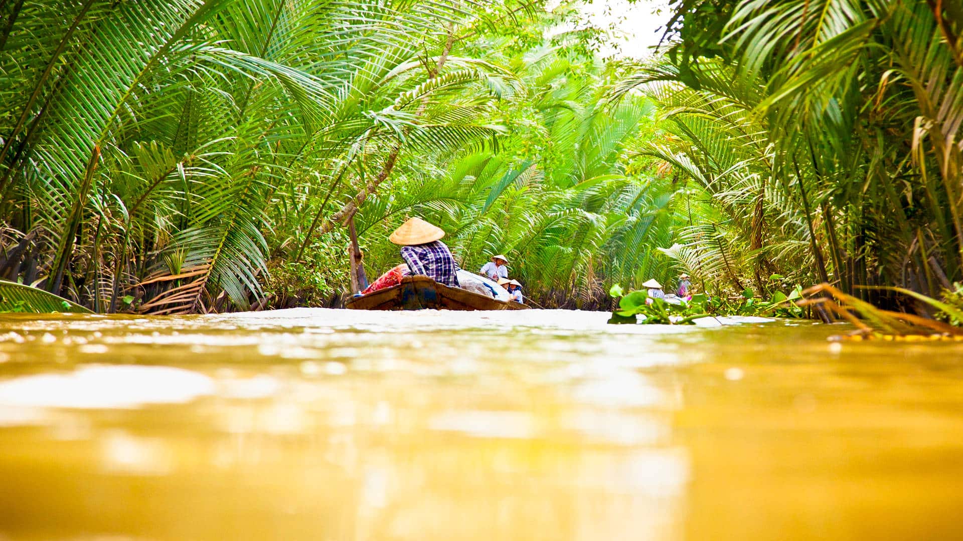 Immersive Experiences in the Mekong Delta A Comprehensive Guide
