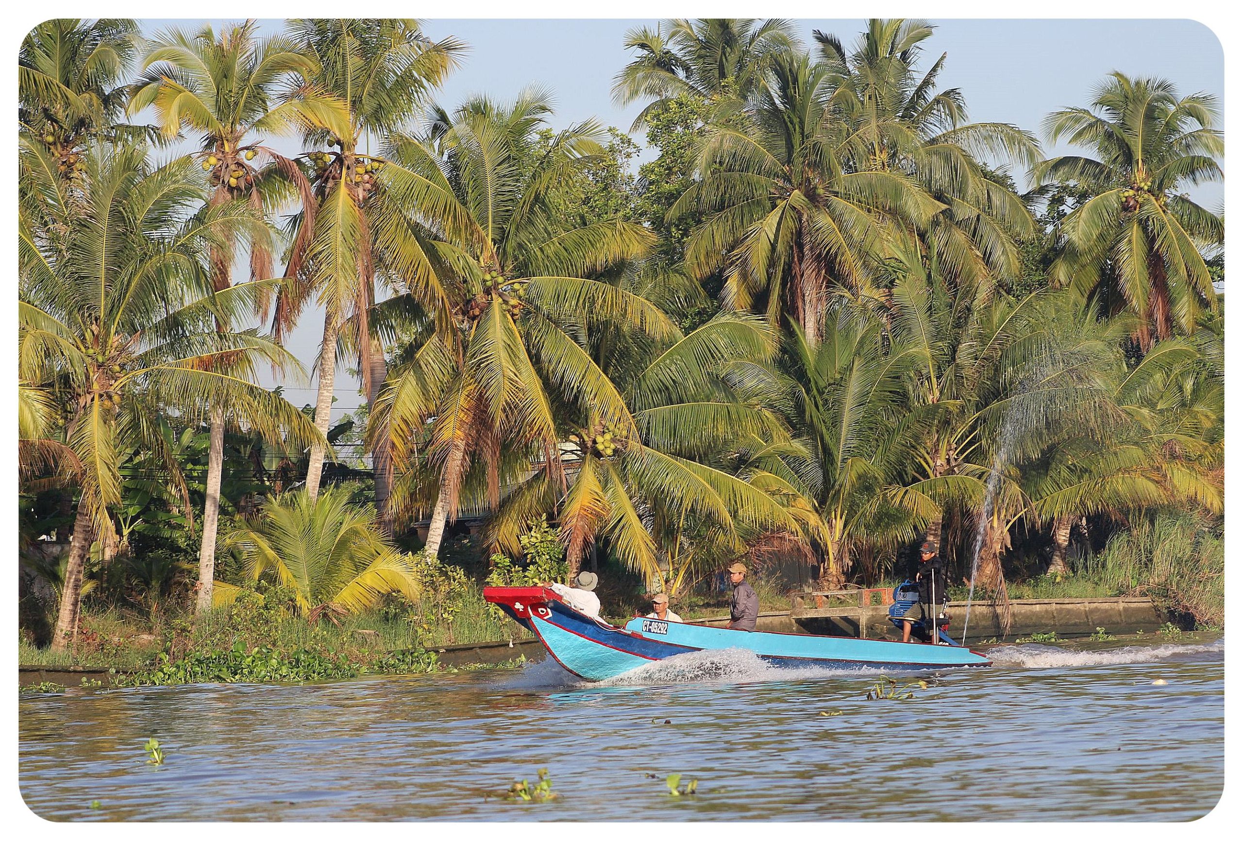 Immersive Experiences in the Mekong Delta A Comprehensive Guide